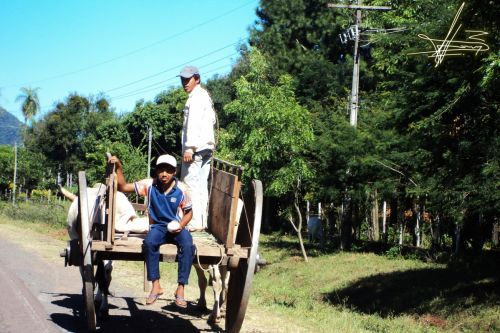 Fotografia de Wadja - Galeria Fotografica: Paraguay, cielo de andutes - Foto: 