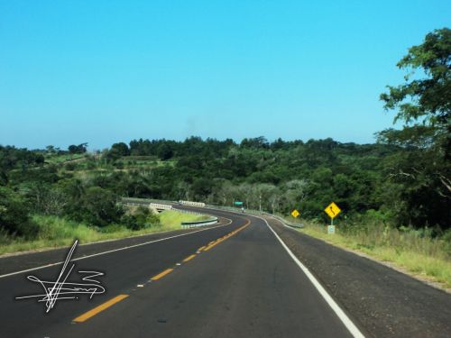 Fotografia de Wadja - Galeria Fotografica: Paraguay, cielo de andutes - Foto: 