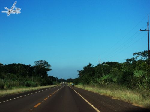 Fotografia de Wadja - Galeria Fotografica: Paraguay, cielo de andutes - Foto: 