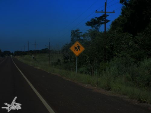 Fotografia de Wadja - Galeria Fotografica: Paraguay, cielo de andutes - Foto: 