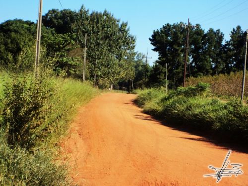 Fotografia de Wadja - Galeria Fotografica: Paraguay, cielo de andutes - Foto: 