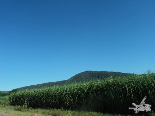 Fotografia de Wadja - Galeria Fotografica: Paraguay, cielo de �andut�es - Foto: 