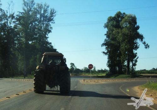 Fotografia de Wadja - Galeria Fotografica: Paraguay, cielo de andutes - Foto: 