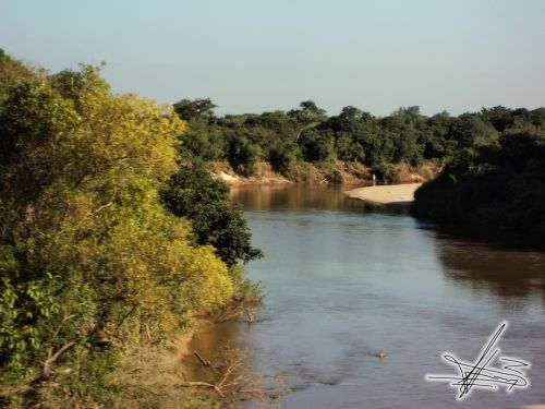 Fotografia de Wadja - Galeria Fotografica: Paraguay, cielo de andutes - Foto: 