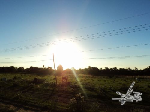 Fotografia de Wadja - Galeria Fotografica: Paraguay, cielo de andutes - Foto: 