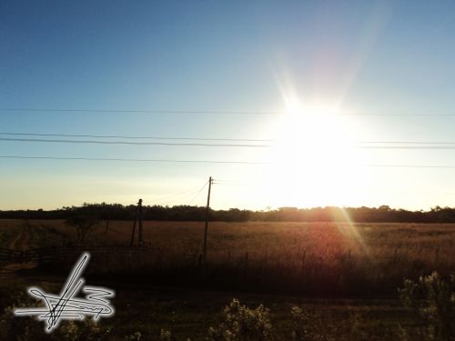 Fotografia de Wadja - Galeria Fotografica: Paraguay, cielo de andutes - Foto: 