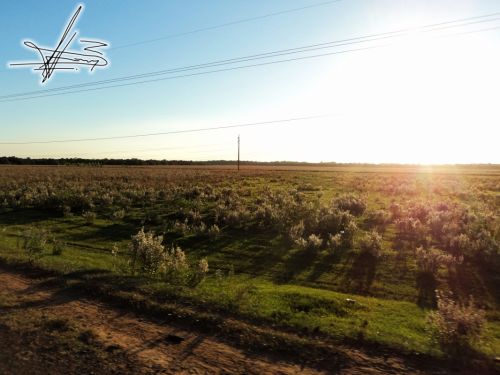 Fotografia de Wadja - Galeria Fotografica: Paraguay, cielo de andutes - Foto: 