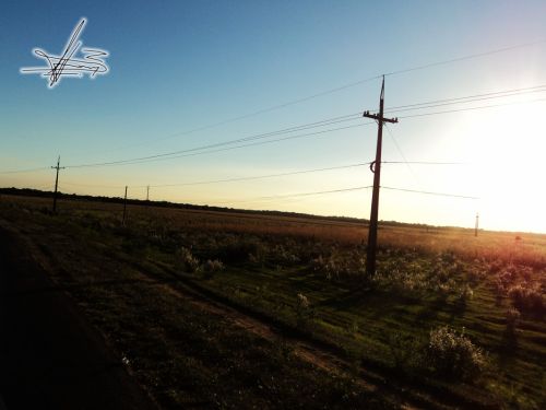 Fotografia de Wadja - Galeria Fotografica: Paraguay, cielo de andutes - Foto: 