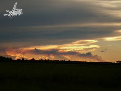 Fotografia de Wadja - Galeria Fotografica: Paraguay, cielo de andutes - Foto: 