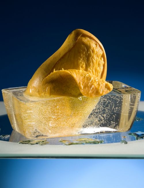 Fotografia de Bob Reyes - Galeria Fotografica: Algunas Favoritas - Foto: 