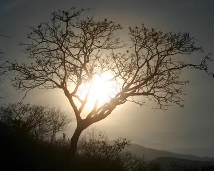 Fotografia de Alejandro Barrag�n - Galeria Fotografica: Zumpango - Foto: Atardecer en Zumpango