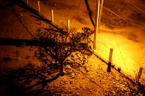 Fotografia de Alejandro Barrag�n - Galeria Fotografica: Zumpango - Foto: 