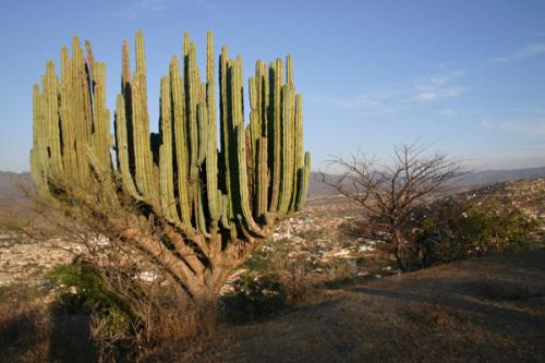 Fotografia de Alejandro Barrag�n - Galeria Fotografica: Zumpango - Foto: Desierto