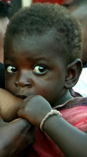 Fotografia de Isabel Flores - Galeria Fotografica: miradas al alma - Foto: Acechando