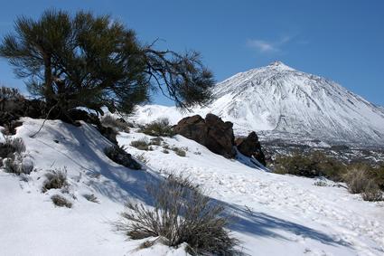 Fotografia de Canarias Foto Stock - Galeria Fotografica: Canarias - Foto: Teide