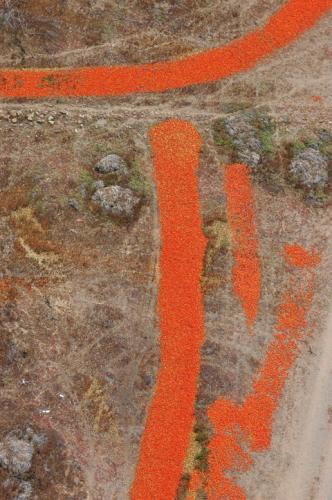 Fotografia de Canarias Foto Stock - Galeria Fotografica: Fotos areas de Canarias - Foto: Abstracto