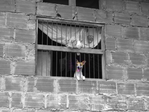 Fotografia de JUAN - Galeria Fotografica: FE . faith - Foto: 