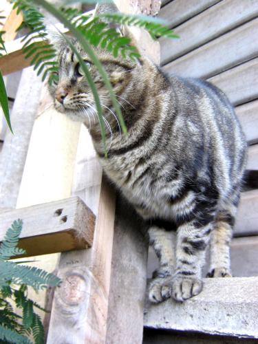 Fotografia de Alejandro. - Galeria Fotografica: Ser Ellos. - Foto: 