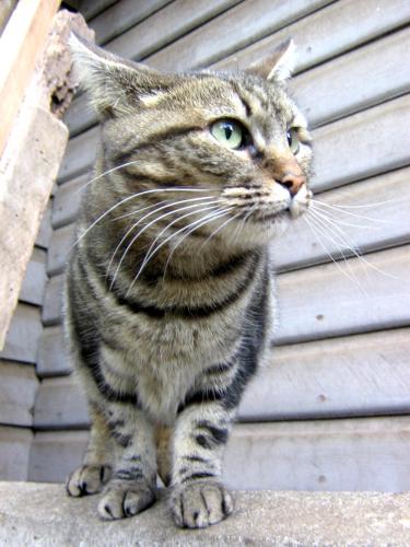 Fotografia de Alejandro. - Galeria Fotografica: Ser Ellos. - Foto: 