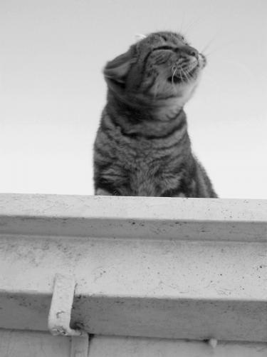 Fotografia de Alejandro. - Galeria Fotografica: Ser Ellos. - Foto: 