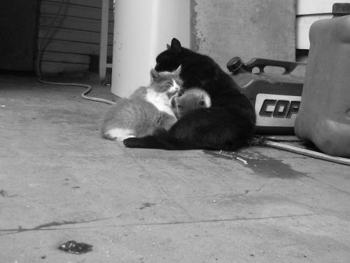 Fotografia de Alejandro. - Galeria Fotografica: Ser Ellos. - Foto: 