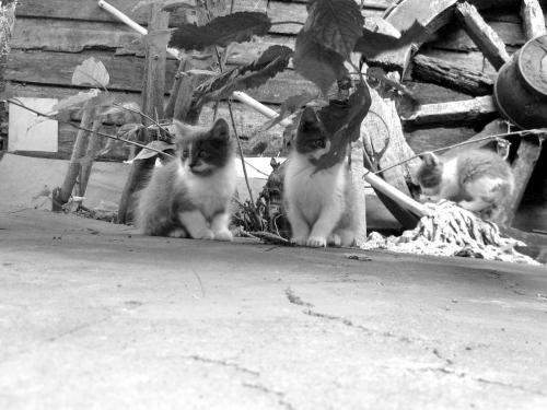 Fotografia de Alejandro. - Galeria Fotografica: Ser Ellos. - Foto: 