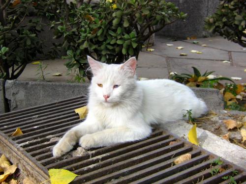 Fotografia de Alejandro. - Galeria Fotografica: Ser Ellos. - Foto: 