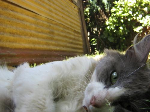 Fotografia de Alejandro. - Galeria Fotografica: Ser Ellos. - Foto: 