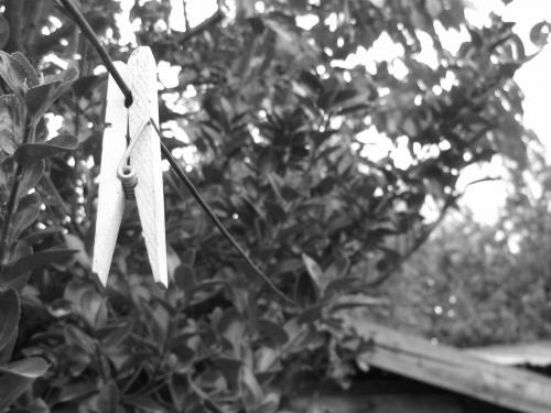 Fotografia de Alejandro. - Galeria Fotografica: Blanco y Negro - Foto: 