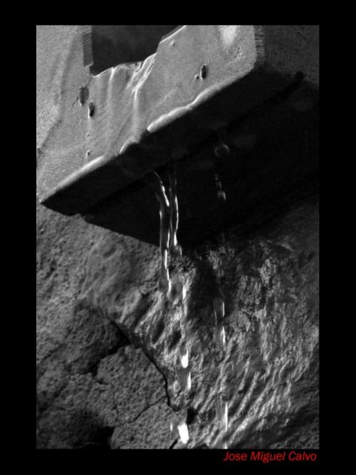 Fotografia de DNA - Galeria Fotografica: PASEO POR LAS CINCO VILLAS - Foto: 