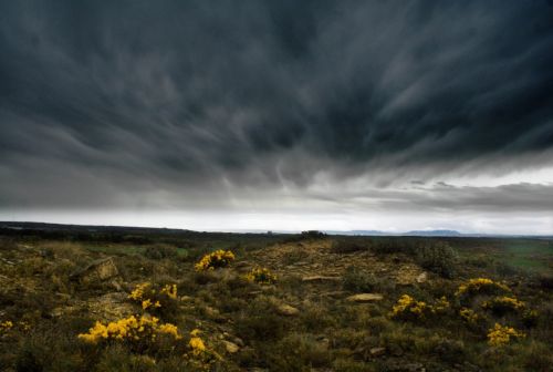 Fotografia de DNA - Galeria Fotografica: PASEO POR LAS CINCO VILLAS - Foto: 