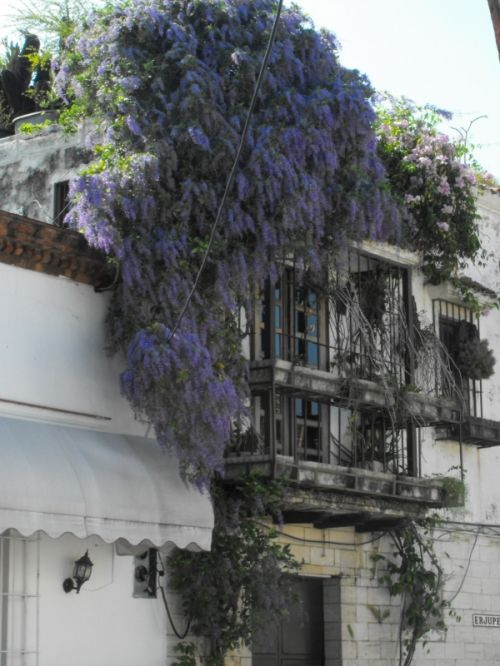 Fotografia de Karina - Galeria Fotografica: Para Disfrutar - Foto: 