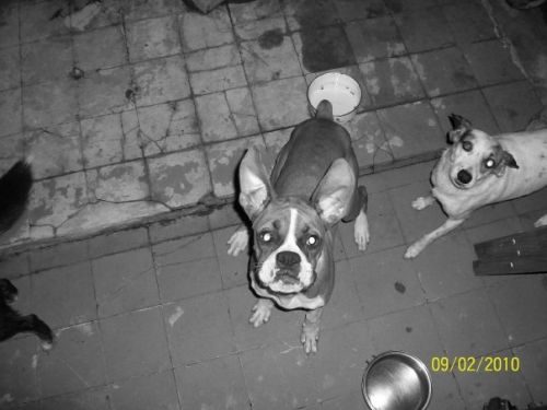 Fotografia de Miic. - Galeria Fotografica: CANDOMBE LOCO ☼ - Foto: 