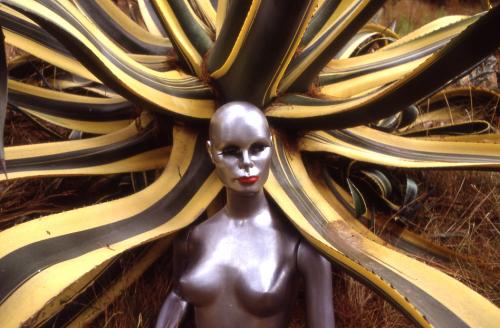 Fotografia de joaquin cabezas - Galeria Fotografica: MANIQUI - Foto: ANA 6