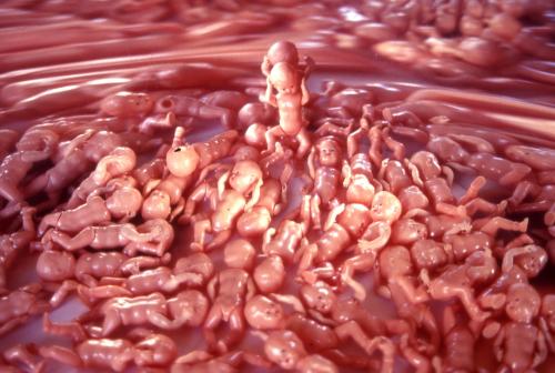 Fotografia de joaquin cabezas - Galeria Fotografica: FANTASIAS - Foto: FANTASIA 7