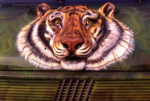 Fotografia de joaquin cabezas - Galeria Fotografica: FANTASIAS - Foto: FANTASIA 11