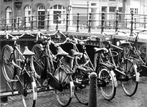 Fotografia de arce de Granada - Galeria Fotografica: Fotografias en blanco y negro - Foto: Amsterdam