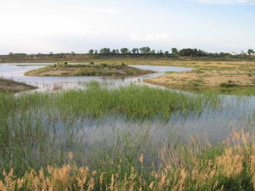 Fotografia de Montse Baiges - Galeria Fotografica: Lugares - Foto: Estany d\'ivars _3