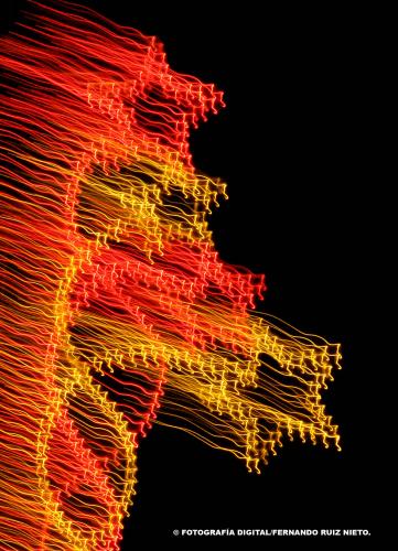 Fotografia de FOTOGRAFIA DIGITAL - Galeria Fotografica: FOTOGRAFIA EN MOVIMIENTO - Foto: 