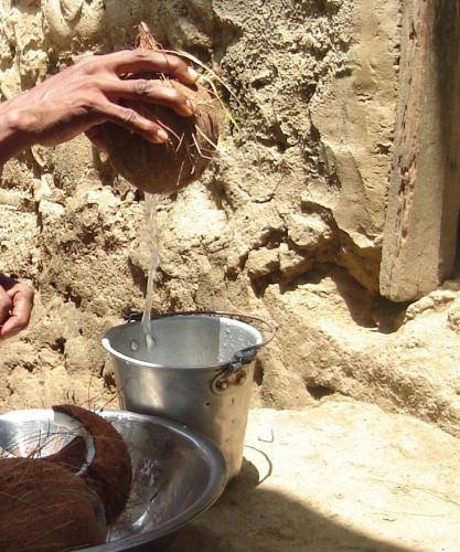 Fotografia de Eva Maria - Galeria Fotografica: Seales de vida - Foto: 