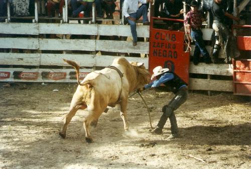 Fotografia de Javier De Len - Galeria Fotografica: Ac hay una muestra de diferentes tipos de fotografas que he hecho... - Foto: Feria de Chimaltenango