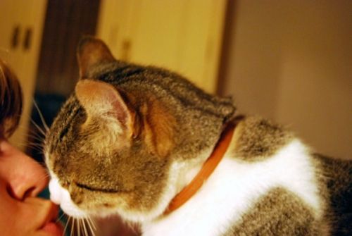 Fotografia de Nadja - Galeria Fotografica: New face - Foto: Bussy