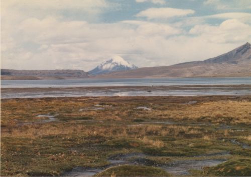 Fotografia de Copranno - Galeria Fotografica: Norte de Chile - Foto: Profundo