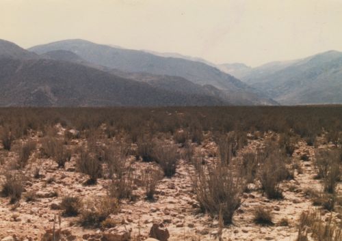 Fotografia de Copranno - Galeria Fotografica: Norte de Chile - Foto: Desierto Nubloso