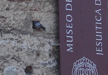 Fotografia de  - Galeria Fotografica: Alta Gracia - Estancias Jesuiticas - Foto: solo 2