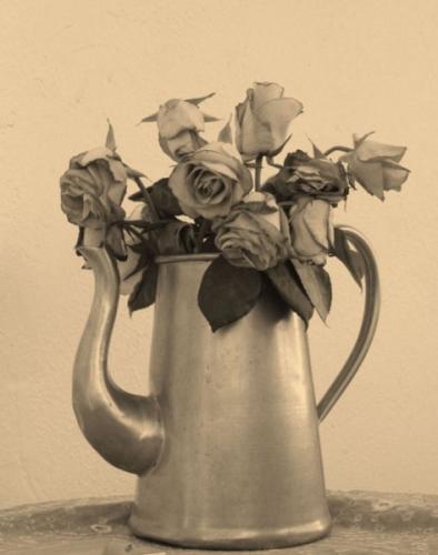 Fotografia de treslilas - Galeria Fotografica: flores y hojas - Foto: rosas en cafetera