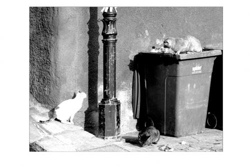 Fotografia de HelenaRey - Galeria Fotografica: LuGaReS - Foto: 