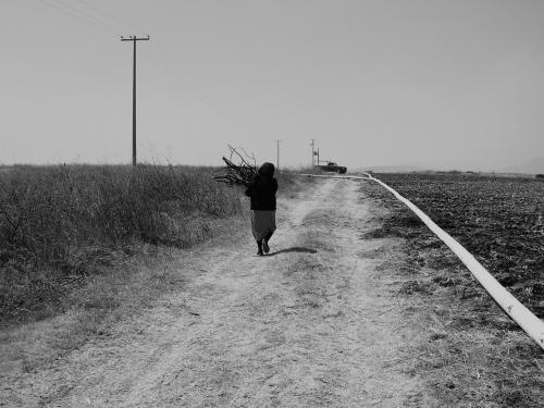 Fotografia de Eric - Galeria Fotografica: Tan solo es una mirada a travez de mis ojos. - Foto: 