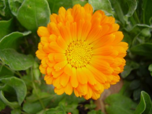 Fotografia de Eric - Galeria Fotografica: Tan solo es una mirada a travez de mis ojos. - Foto: Sonriente