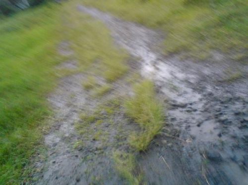 Fotografia de ajvit - Galeria Fotografica: principio - Foto: 